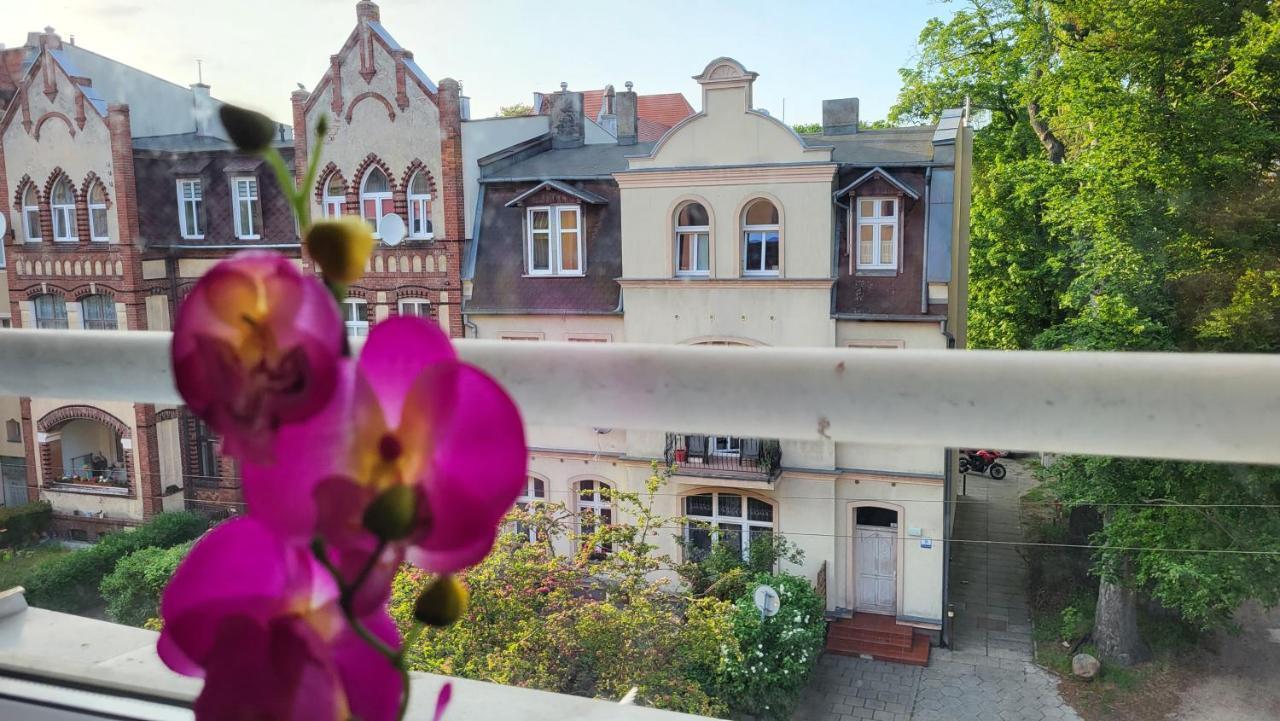 Apartament Julietta 슈비노우이스쳬 외부 사진